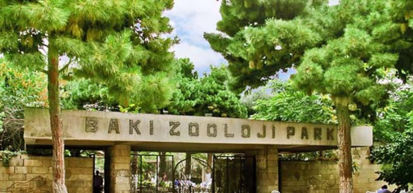Zoo Baku